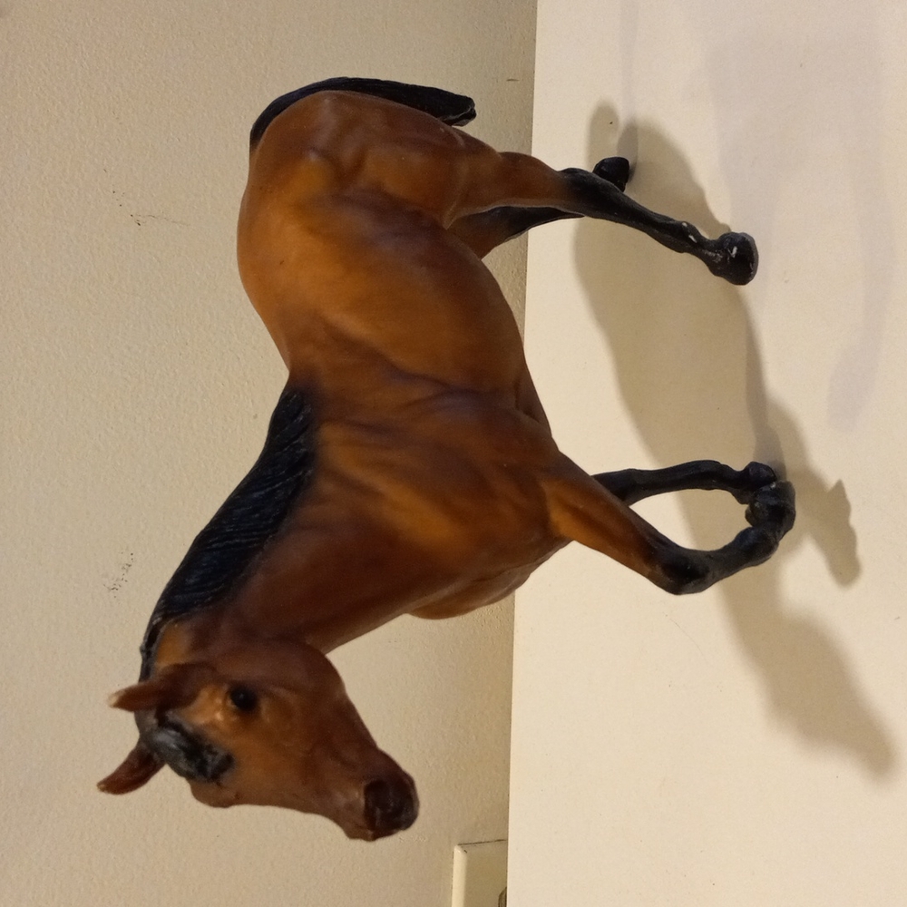 AMERICAN BUCKSKIN Stock Mare #222